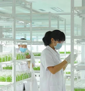 糖心LOGO视频免费观看仪器