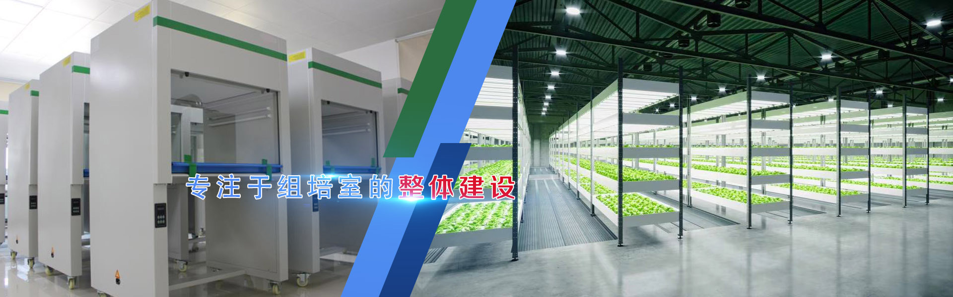 糖心LOGO视频免费观看、糖心LOGO视频免费观看架