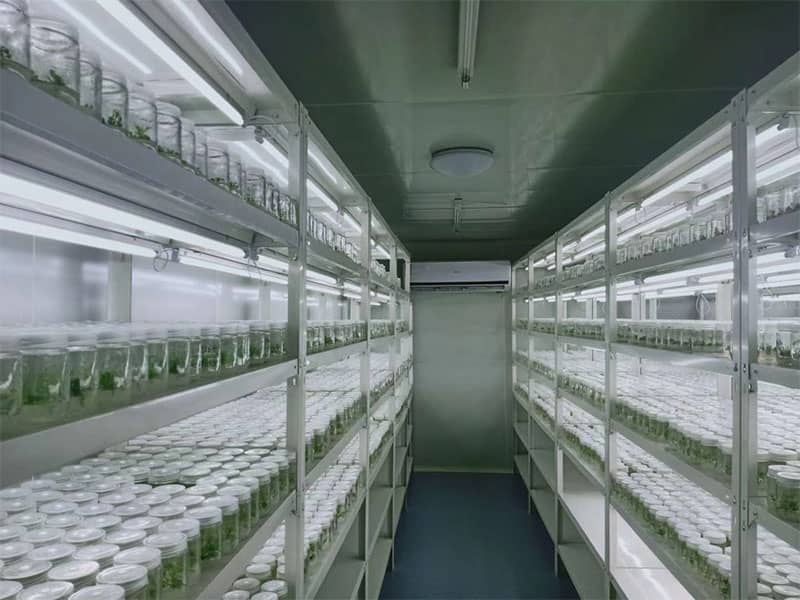 糖心LOGO视频免费观看  糖心LOGO视频免费观看架